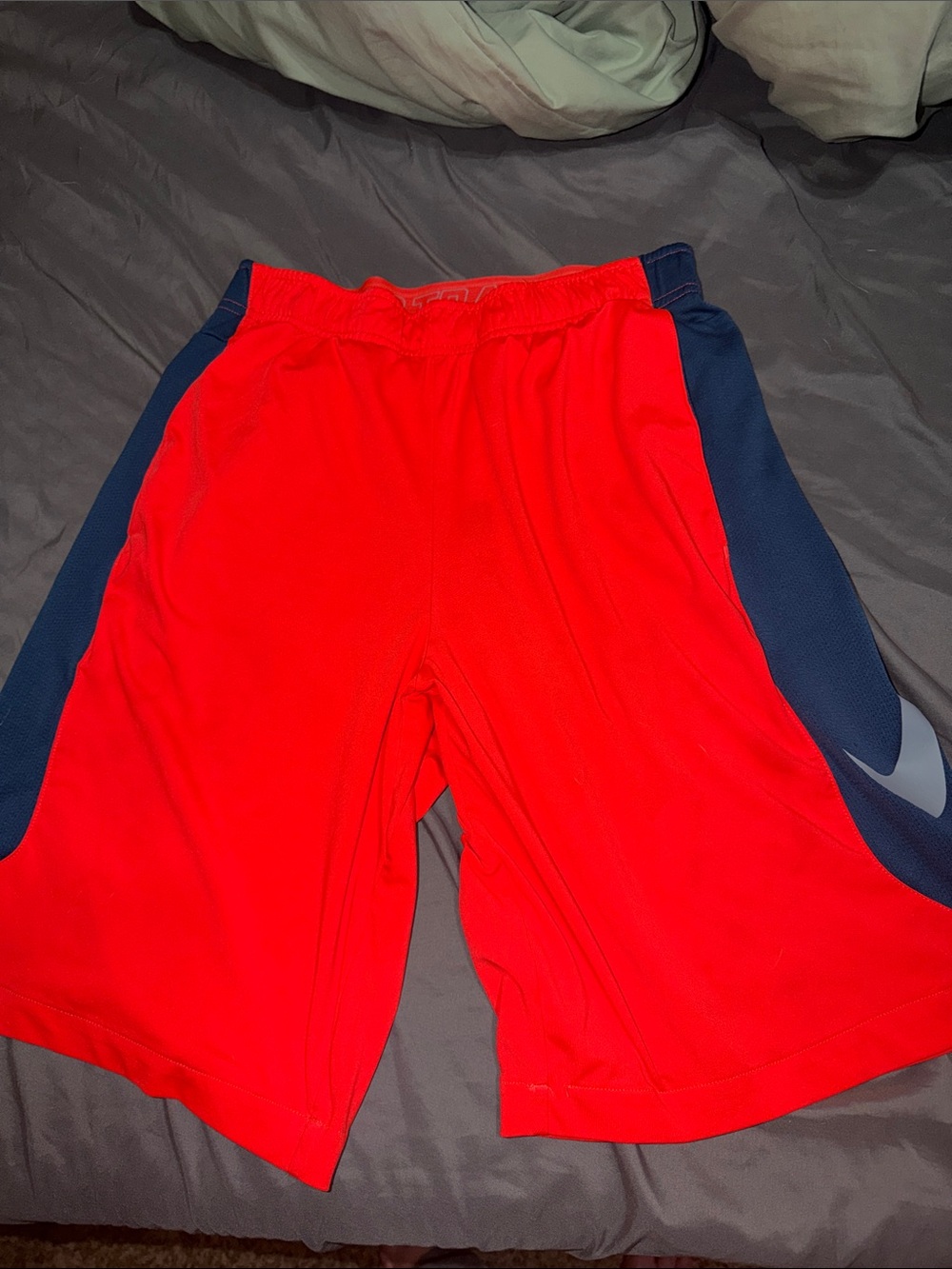 Nike  Athletic Shorts with Navy Panels